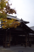 2008kyoto-14s.jpg