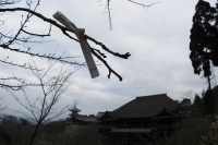 2010kyoto-18s.jpg