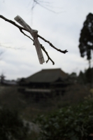 2010kyoto-19s.jpg