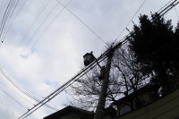 2010kyoto-24s.jpg