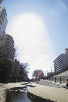 2010kyoto-29s.jpg