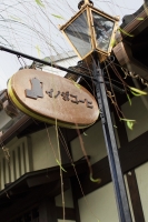 2010kyoto-9s.jpg